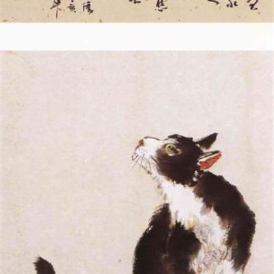 F003 Little Cat 45x30cm 2000