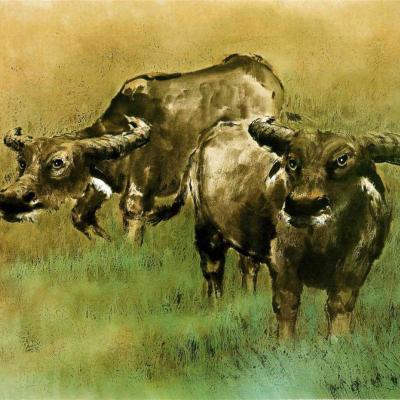 F008 Buffalos 65x90cm 2001