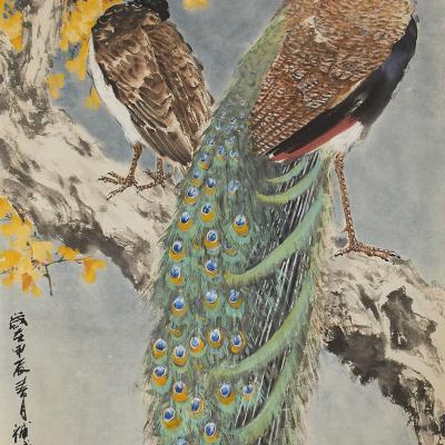2024後~花鳥動物