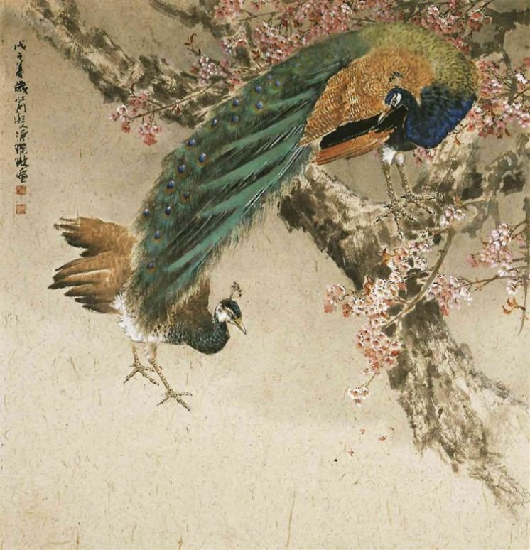 F007 涂璨琳---孔雀嬉春 Peacock in Spring 紙本水墨 121x116cm 2008